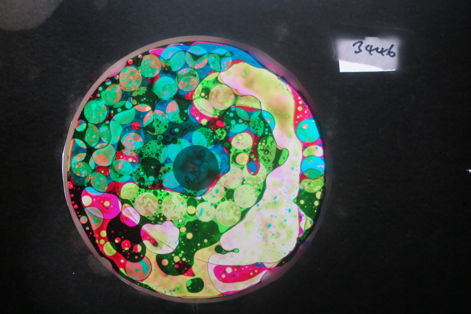 BV3446 bubble vision oil wheel